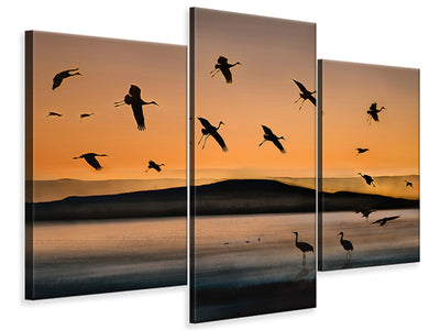 modern-3-piece-canvas-print-fly-in-at-sunset