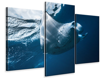 modern-3-piece-canvas-print-flying-manta-ray