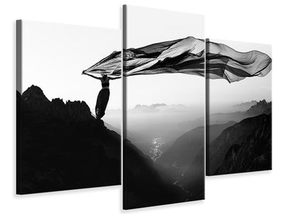 modern-3-piece-canvas-print-free-as-the-wind