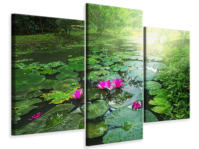 modern-3-piece-canvas-print-garden-pond