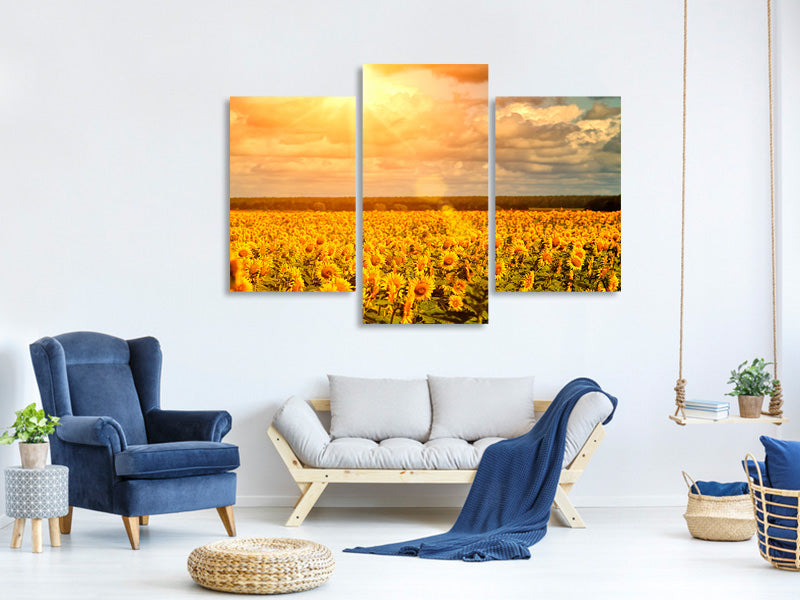 modern-3-piece-canvas-print-golden-light-sunflower