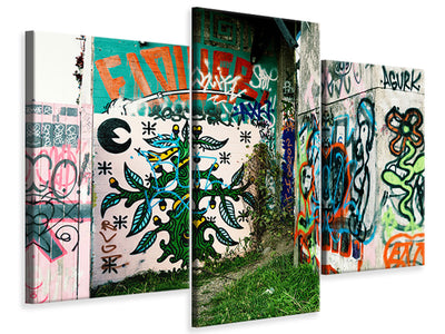 modern-3-piece-canvas-print-graffiti-in-the-backyard