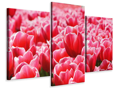 modern-3-piece-canvas-print-happy-tulip-field