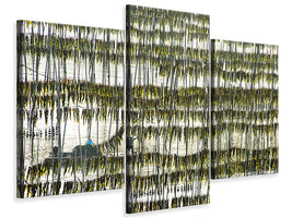 modern-3-piece-canvas-print-harvesting-kelp