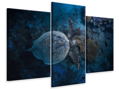 modern-3-piece-canvas-print-hawksbill-sea-turtle-ii