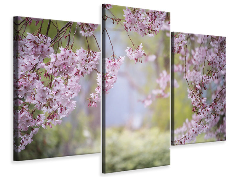modern-3-piece-canvas-print-in-the-beautiful-spring