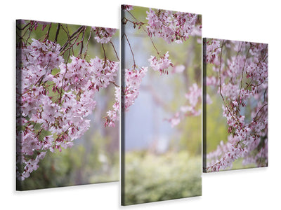 modern-3-piece-canvas-print-in-the-beautiful-spring