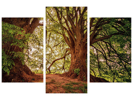 modern-3-piece-canvas-print-in-the-dense-forest