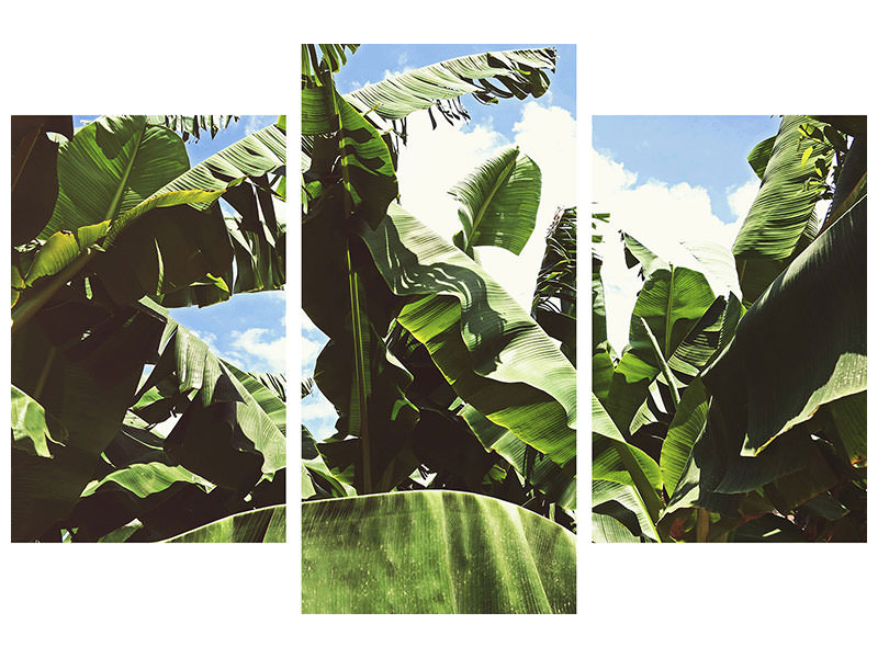 modern-3-piece-canvas-print-in-the-middle-of-the-jungle