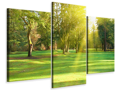 modern-3-piece-canvas-print-in-the-park