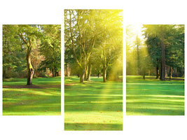 modern-3-piece-canvas-print-in-the-park