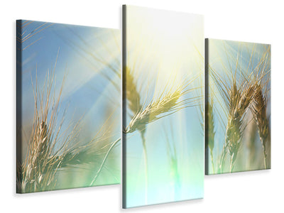 modern-3-piece-canvas-print-king-of-cereals