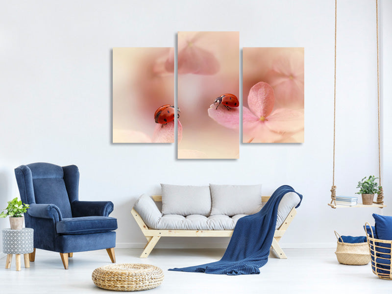 modern-3-piece-canvas-print-ladybirds-on-pink-hydrangea