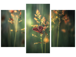 modern-3-piece-canvas-print-last-light