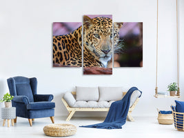 modern-3-piece-canvas-print-leopard