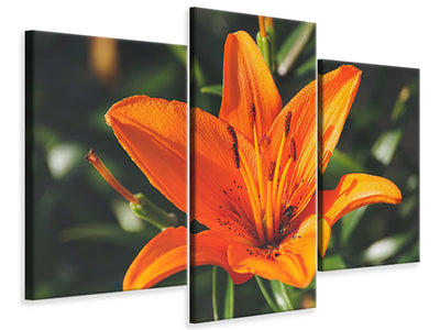 modern-3-piece-canvas-print-lilies-blossom-in-orange-xl