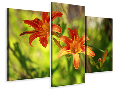 modern-3-piece-canvas-print-lilies-in-nature