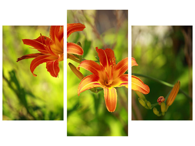 modern-3-piece-canvas-print-lilies-in-nature