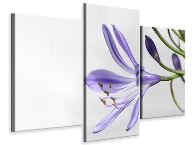 modern-3-piece-canvas-print-lily-flower-in-purple