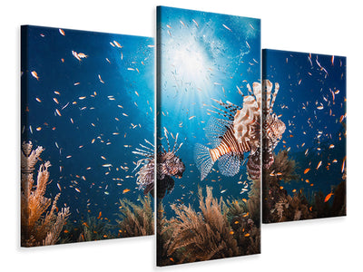 modern-3-piece-canvas-print-lionfish-ii