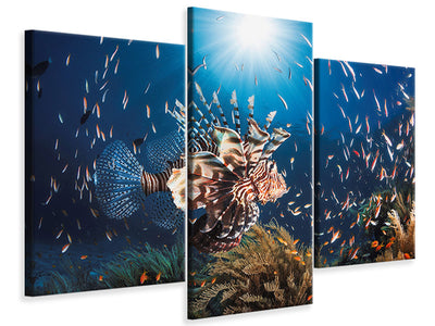modern-3-piece-canvas-print-lionfish