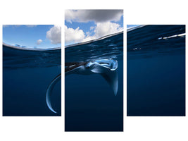 modern-3-piece-canvas-print-little-manta-ray