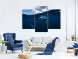 modern-3-piece-canvas-print-little-manta-ray