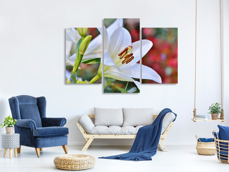 modern-3-piece-canvas-print-magnificent-lily-in-white