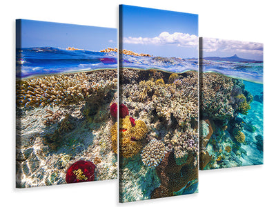 modern-3-piece-canvas-print-mayotte-the-reef