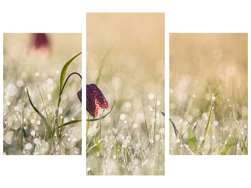 modern-3-piece-canvas-print-morningdew