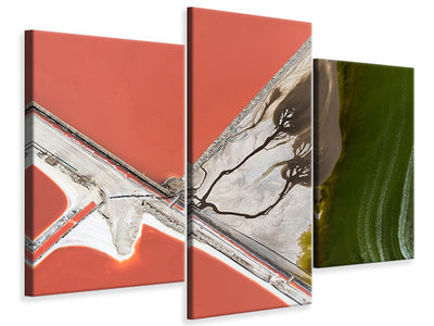 modern-3-piece-canvas-print-natures-painting