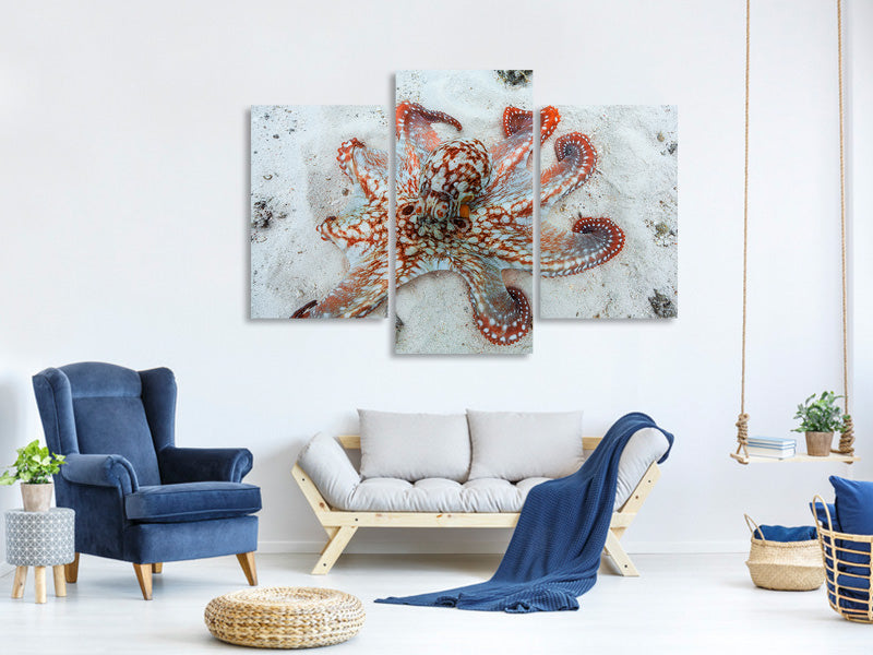 modern-3-piece-canvas-print-octopus-a