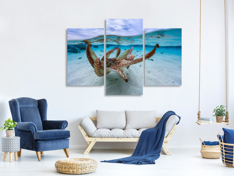 modern-3-piece-canvas-print-octopus-ii