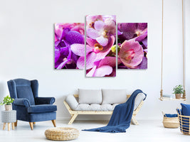 modern-3-piece-canvas-print-orchid-paradise