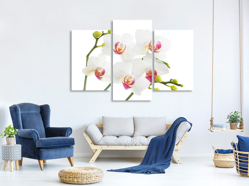 modern-3-piece-canvas-print-orchids-love