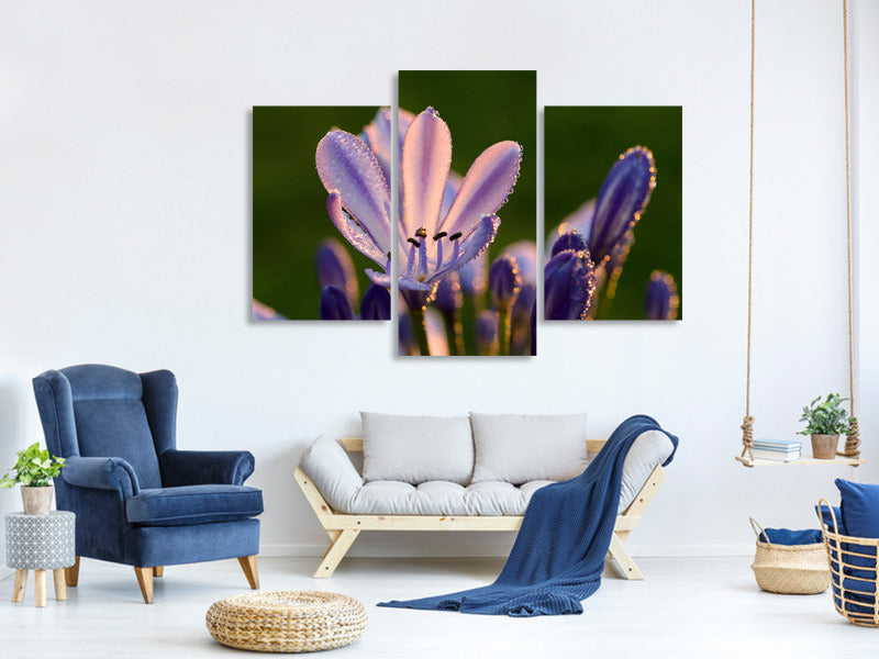 modern-3-piece-canvas-print-ornamental-lilies-with-morning-dew