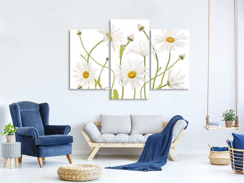 modern-3-piece-canvas-print-ox-eye-daisies