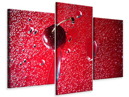 modern-3-piece-canvas-print-photo-waallpaper-the-cherry