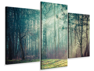 modern-3-piece-canvas-print-pinewood