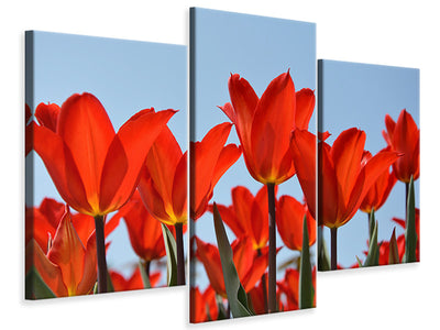 modern-3-piece-canvas-print-red-tulips-xl