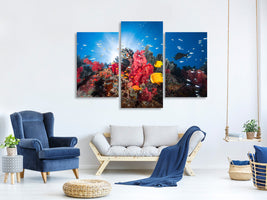 modern-3-piece-canvas-print-reef-life