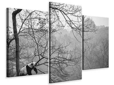 modern-3-piece-canvas-print-relax