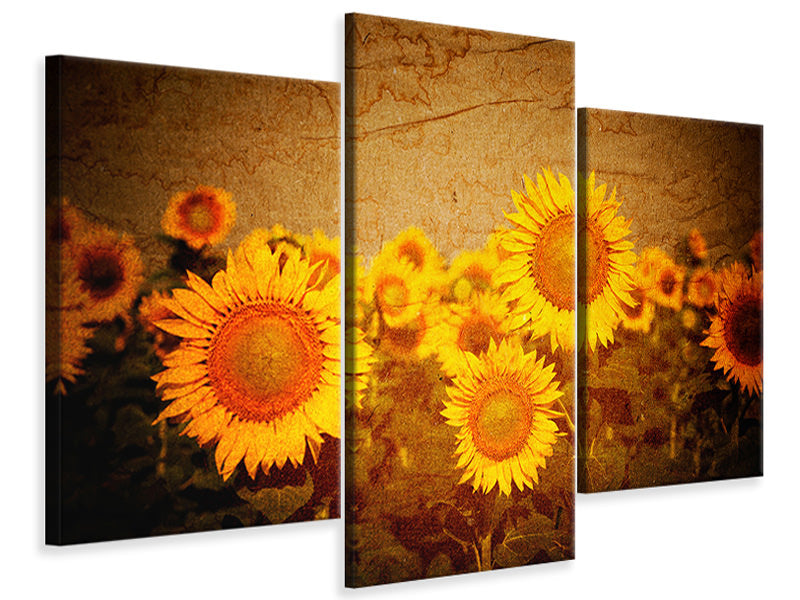 modern-3-piece-canvas-print-retro-sunflower