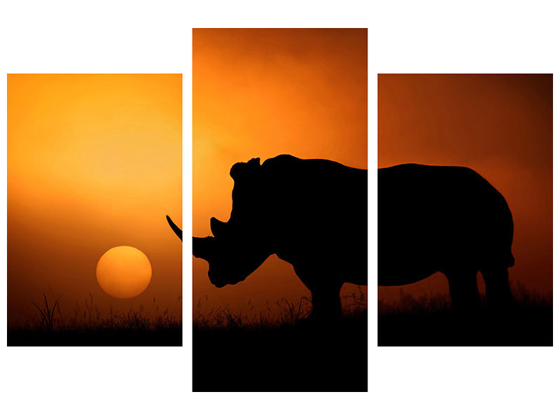 modern-3-piece-canvas-print-rhino-sunrise