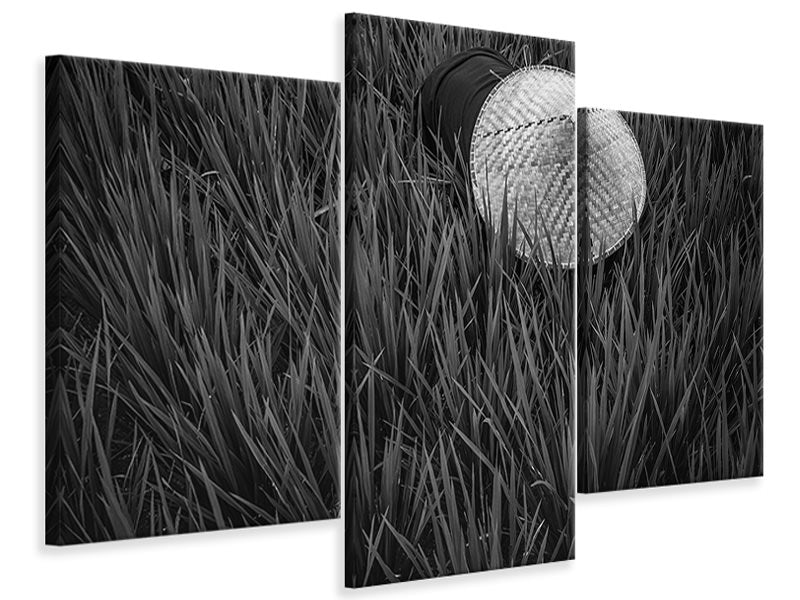 modern-3-piece-canvas-print-rice-fields-in-bw