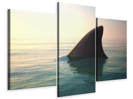 modern-3-piece-canvas-print-shark-fin