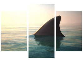 modern-3-piece-canvas-print-shark-fin