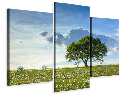 modern-3-piece-canvas-print-spring-tree