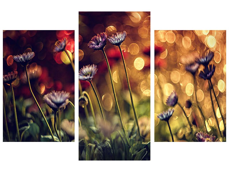 modern-3-piece-canvas-print-summer-flowers