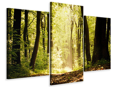 modern-3-piece-canvas-print-sunrise-in-the-forest